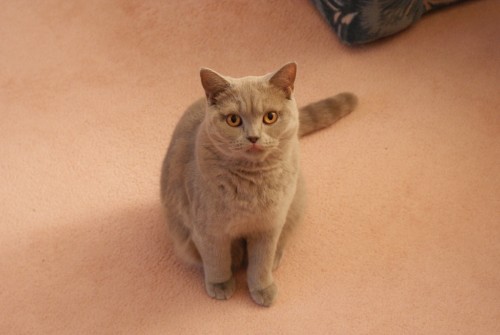 dsc00110
