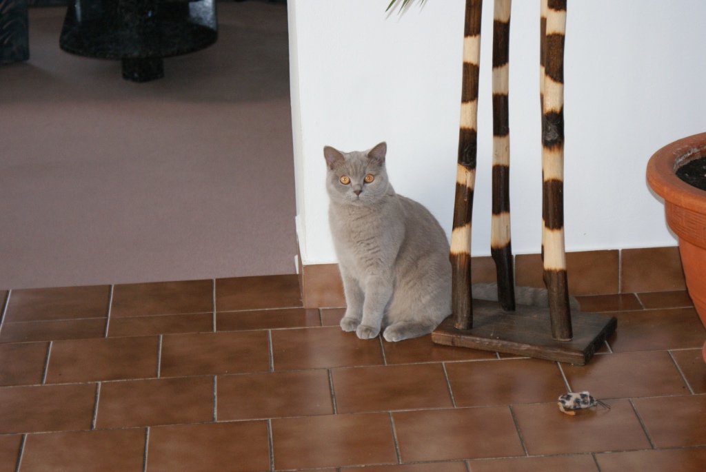 dsc00063